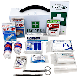 Livingstone Class C First Aid Kit