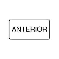 "ANTERIOR" - X-RAY LABEL 500/BOX Box
