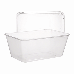Livingstone Take-Away Rectangular Container Base & Lid Set