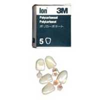 3M PLYCARB REPLACEMENT CROWNS #P32 5/PK Pack