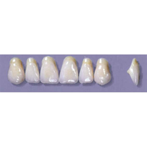 MYERSON ANTERIORS #A11/C (1x6 CARD) Card