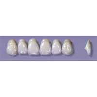 MYERSON ANTERIORS #A64/C (1x6 CARD) Card