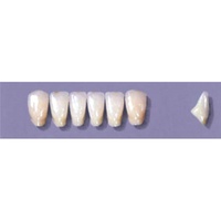 MYERSON ANTERIORS #A73/D (1x6 CARD) Card