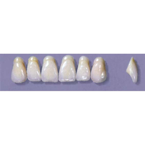 MYERSON ANTERIORS #A9/65 (1x6 CARD) Card