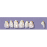 MYERSON ANTERIORS #PM4/65 (1x6CARD) Card