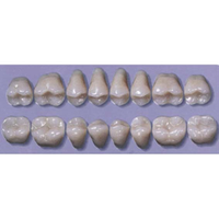 MYERSON DB SYN POST #34ML/58 (1x8 CARD) Card