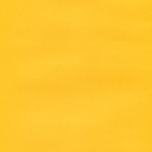 SPEC. OPTIX PATI OCHRE 200GSMA4 500/RM Ream