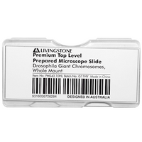 Livingstone Premium Top Level Prepared Slide, Drosophila Giant Chromosomes, Whole Mount, Each Each