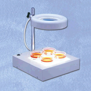 Twin Tube Maggy Lamp Two Stage Illumination 2x Maggy Each