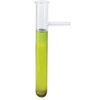 Filter Tube 19D x 150H mm with Side Arm, Glass, Each Each