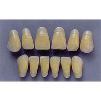 ULTRADENT ANT. 1N/65 LOWER (1x6 CARD) Card