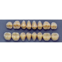 ULTRADENT POST. 33F/62 LOWER (1x8 CARD) Card