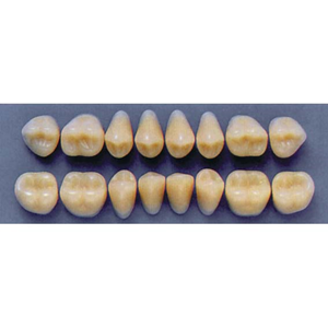 ULTRADENT POST 34L/81 LOWER (1x8 CARD) Card