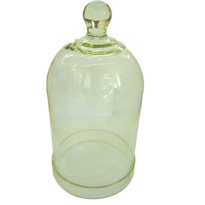 Livingstone Bell Jar With Knob