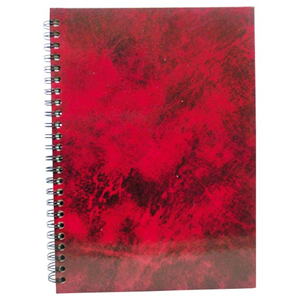 Spirax No. 595, Notebook, A4, 120 Pages, Each Each
