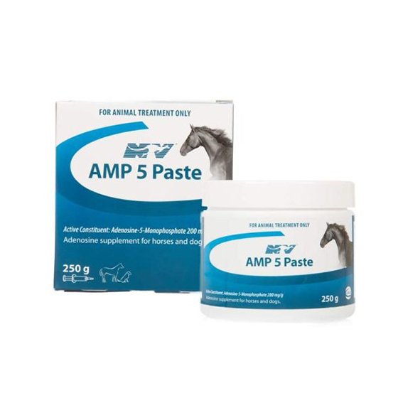 AMP5P250