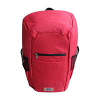 Livingstone Anti-Theft Backpack, 29x47x15cm, 20.5 Litres, 300D Polyester with PU Coating and Leather, 12 Pockets, with USB Port, Red Each