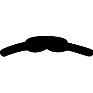 No 8 Matrix Band Biscupid Wide12/pk Pack