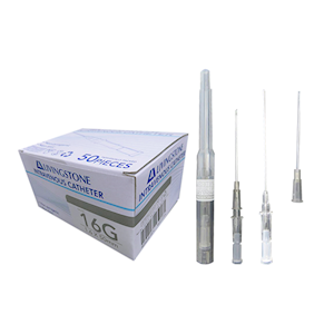 Livingstone Intravenous IV Catheter, 16 Gauge x 2 inches, Each