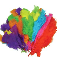 Feathers, Small, Assorted Colours, 50/Bag Bag