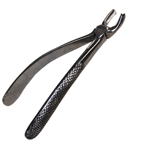Livingstone Dental Extracting Forceps