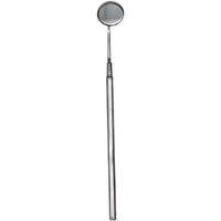 Dental Magnifying Mirror
