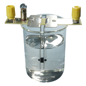 Electrodes Stainless Steel, 2x Plates, Fixed, Lamp & Terminal, Each Each
