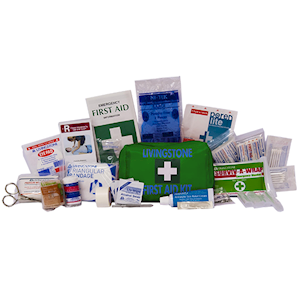 Livingstone Work Vehicle First Aid Kit, Small, 18 x 11 x 7cm Pouch, Green, Complete Set In Nylon Pouch Each