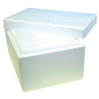 Livingstone Foam Cooler Box, 2 Litres, 230 x 160 x 120 mm with Lid, Each (621945) Each
