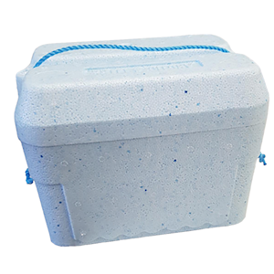 Livingstone Foam Cooler Box, 4 Litres, 270 x 190 x 190 mm, with Lid, Each (611115) Each