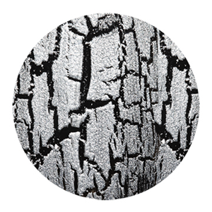 China Glaze Crackle Platinum Pieces (metal) Polish Ea Each