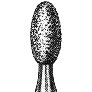 Intensiv 4250 Diamond Burs, ISO 277514 #21, Friction Grip, Fine, Each Each