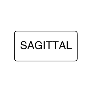 X-Ray Label 500/Box