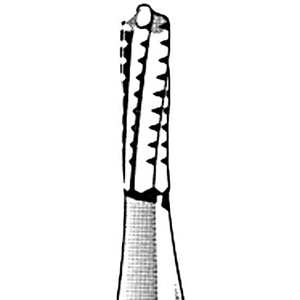 Kerr Jet 1557 Tungsten Carbide Burs