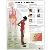 RISK OF OBESITY CHART 51 X 66CM RIGID Each