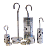 Livingstone Slotted Mass Weight