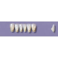 MYERSON ANTERIORS #11/C (1x6 CARD) Card