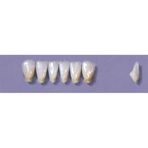 MYERSON ANTERIORS #12/65 (1x6 CARD) Card