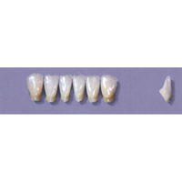 MYERSON ANTERIORS #12/F (1x6 CARD) Card