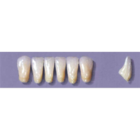Myerson Anteriors #16/58 (1 x 6 Card), Each