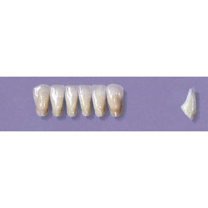 MYERSON ANTERIORS #3/G (1x6 CARD) Card