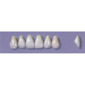 MYERSON ANTERIORS #A2/F (1X6 CARD) Card
