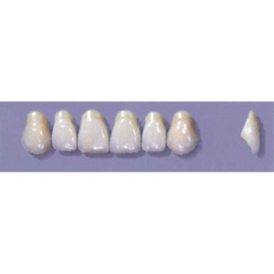 MYERSON ANTERIORS #A43/73 (1x6CARD) Card