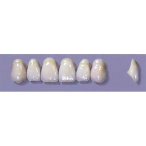 MYERSON ANTERIORS #A44/58 (1x6CARD) Card