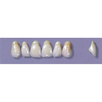 MYERSON ANTERIORS #A4/60 (1x6 CARD) Card