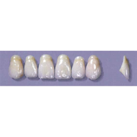 MYERSON ANTERIORS #A52/E (1x6 CARD) Card