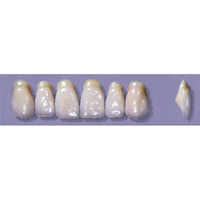 MYERSON ANTERIORS #A53/62 (1x6CARD) Card
