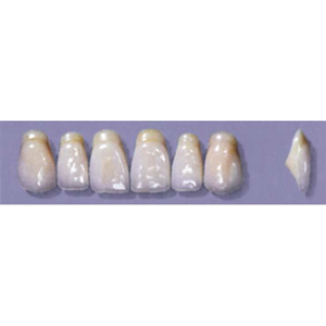 MYERSON ANTERIORS #A53/73 (1x6CARD) Card