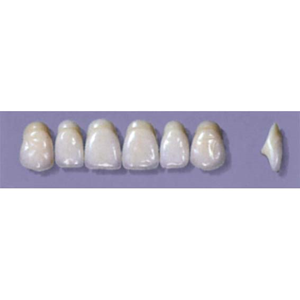 MYERSON ANTERIORS #A64/H (1x6 CARD) Card