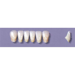 MYERSON ANTERIORS #A71/C (1x6 CARD) Card